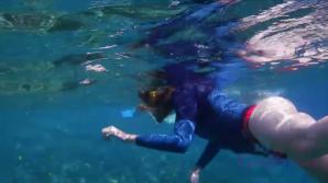 You snorkel at night and in the day with Ashley.