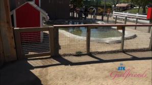 Cecelia Taylor Farm Date Part 1