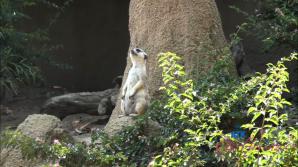 You hit the zoo, then Riley's pussy!